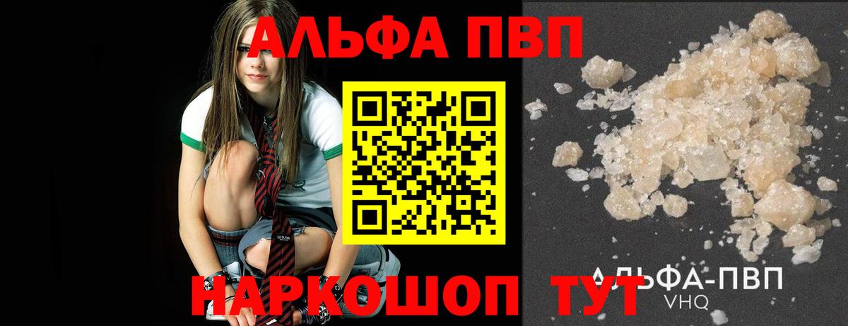 A-PVP СК КРИС Усть-Джегута