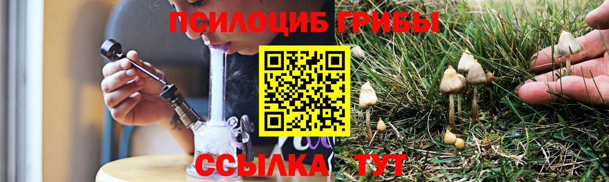 Усть-Джегута  Псилоцибиновые грибы Cubensis  Псилоцибиновые грибы Cubensis  Вход с VPN 
